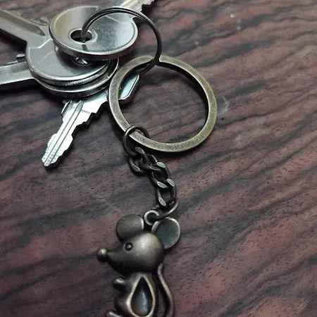 Daire Musloch Kaysersberg-Vignoble